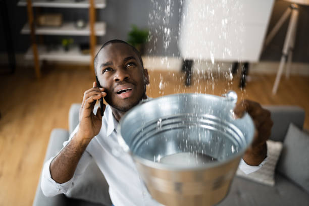 Best Basement water damage restoration  in Albion, IN