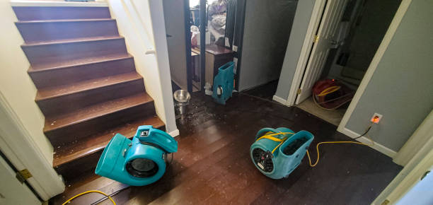 Best Water damage restoration near me  in Albion, IN