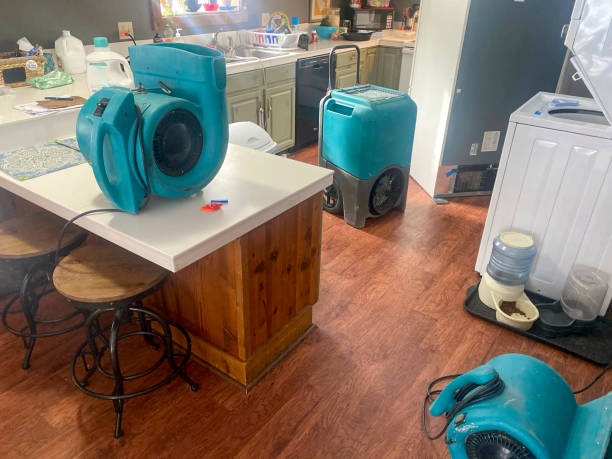 Best Residential water damage restoration  in Albion, IN