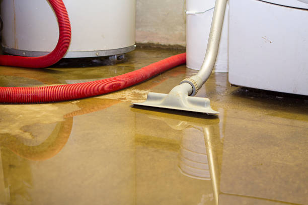 Best Water damage contractors near me  in Albion, IN