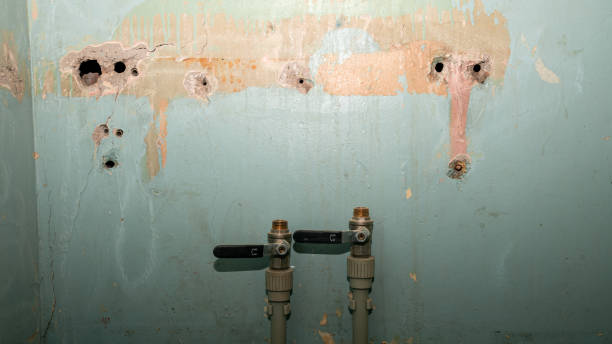 Best Basement water damage restoration  in Albion, IN