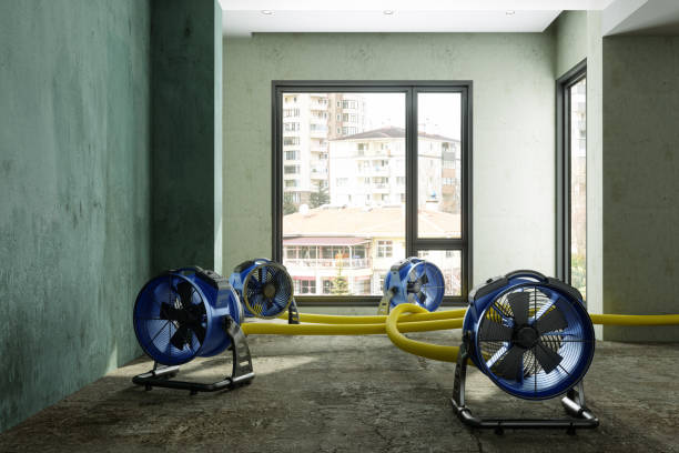 Best Flood restoration services  in Albion, IN